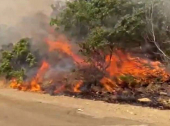 Туристическая база вблизи Анапы охвачена огнем – в зону ЧП вылетел вертолет МЧС России