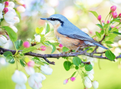 1 мая в Анапе будет тепло и празднично