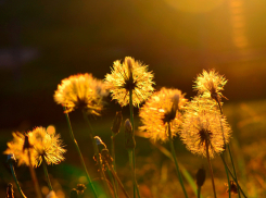 10 июня в Анапе воздух прогреется до +30