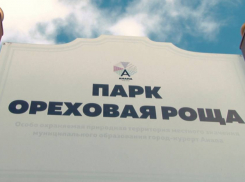 Забор вокруг Ореховой рощи в Анапе демонтируют