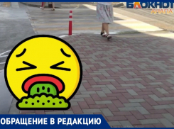 «Невозможно открыть окна»: анапчанка поражена ночным зловонием на улице Парковой