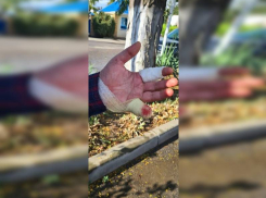 В Анапе неизвестные избили охранника и отрезали ему фалангу пальца