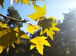 Похоже, лето не спешит уходить: анапчан ждёт тёплый вторник