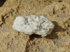 Стали известны последствия после выброса пальмового масла на Бугазской косе 