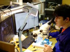 Анапский бизнес может претендовать на возмещение до 30% затрат на создание новых производств