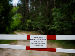 В Анапе по-прежнему нельзя ходить в лес