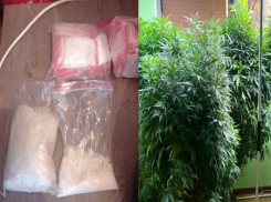 Полкило синтетики и конопля: полиция Анапы арестовала крупного наркодилера