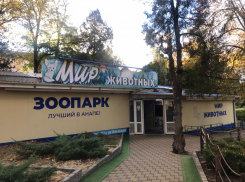 Природоохранная прокуратура закрыла анапский зоопарк