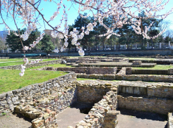 Проходящий через Анапу турмаршрут «Золотое кольцо Боспорского царства» посетили более 1,5 млн человек