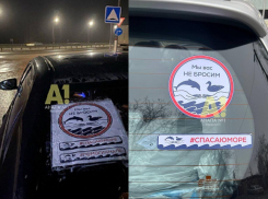 «ПомогиАнапе» и «СпасаюМоре» – в Анапе появились наклейки на авто про экологическую катастрофу