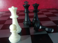 Знаете, где в Анапе можно научиться игре в шахматы? В художественной галерее!