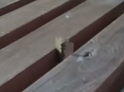 Не детская шалость: в Супсехе ребятня развлекается с лезвием