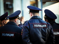 Довольны ли вы работой сотрудников полиции в Анапе?