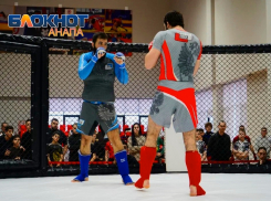 «Курс на Россию»: анапские бойцы привезли домой 16 медалей Чемпионата Кубани по ММА