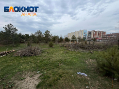 Обещание - реальность: что происходит с «Ореховой рощей» в Анапе   