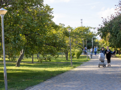 Новая детская площадка и тысячи роз: как преобразится Ореховая роща в Анапе