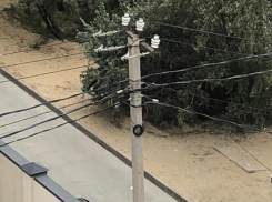 В Анапе выявлены объекты, построенные в опасной близости от ЛЭП