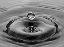 Февраль принёс в Анапу дождь и тепло