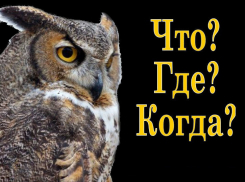 Молодых анапчан приглашают стать знатоками в игре «Что? Где? Когда?»