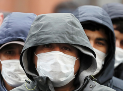 В крае 117 тысяч без работы, а предприниматели принимают мигрантов