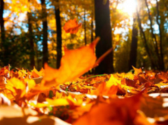 В Анапе ожидался теплый и ясный день 11 октября