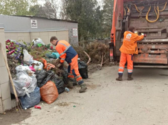 Более 10 человек приводят в порядок кладбища в Анапе