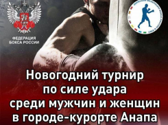 В Анапе пройдет новогодний турнир по силе удара