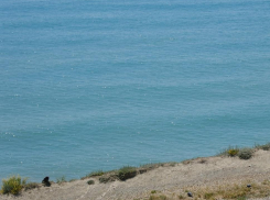 В Международный день шутки в Анапе ожидается дождь