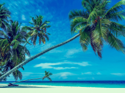 Гороскоп для анапчан с 23 по 29 декабря: Близнецам стоит отдохнуть