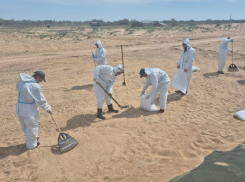 Замазученный песок Анапы хотят перевести на Раевский полигон 
