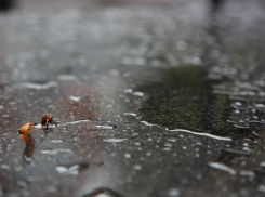 Сегодня, 10 января, в Анапе тепло и дождливо