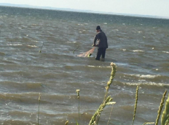 Браконьер на Кизилташском лимане под Анапой наловил креветок на 150 тысяч рублей