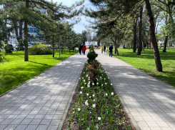 В Международный день КВН в Анапе облачно с прояснениями