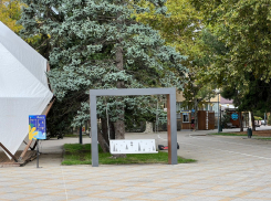 В день любителей чеснока в Анапе сначала облачно, потом ясно