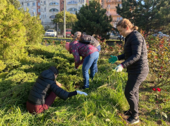 Сегодня в Анапе проводится общегородской субботник