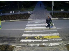  «Казнить нельзя помиловать»: в Анапе горячо обсуждают поступок женщины, укравшей куст