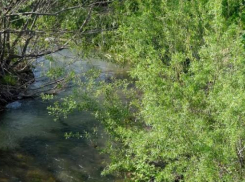 История Анапы: откуда у реки Маскага такое странное название и что оно значит 