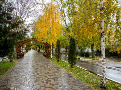 Анапа стала одним из самых популярных туристических направлений на осень 