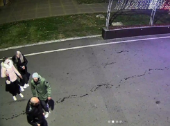 В Анапе вандалы повредили центральную елку