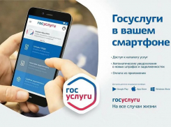 Анапчане могут получить социально значимые услуги – не выходя из дома