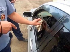 Анапских водителей за тонировку могут арестовать на 15 суток