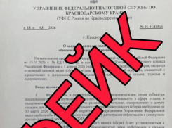 ФНС опровергла слухи о введении налога на СВО в Анапе