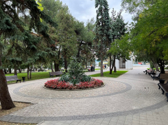 В День черной кошки в Анапе возможен небольшой дождь