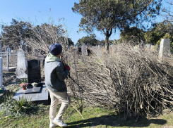 Жителей Анапы попросили убрать старое кладбище