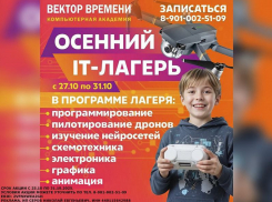 УСЛУГА ДНЯ! Осенние ИТ-каникулы в Вектор Времени