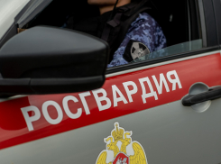 Пьяный хулиган пытался украсть алкоголь из магазина в Анапе