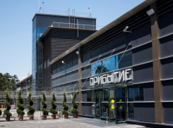 В аэропорту Анапы задержали девушку, которая украла у краснодарки более 3000 рублей 