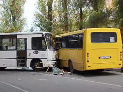 В центре Анапы столкнулись два автобуса, а в Супсехе жестоко обошлись с собакой