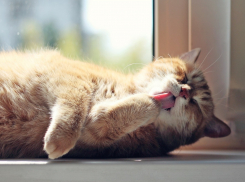 Начало новой недели осчастливит анапчан прекрасной погодой