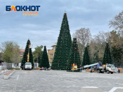 В день пушистой ёлки в Анапе стихнет ветер